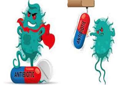 هسته هاي پژوهشي